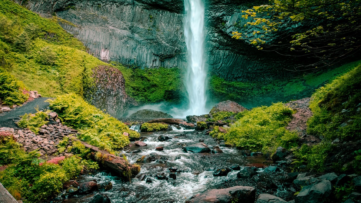 Top Waterfalls in Bihar to Explore: Hidden Gems for Nature Lovers